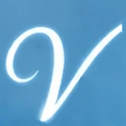 VestiBase